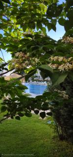 Apartment with green terrace - 4