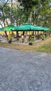 Apartment with green terrace - 4