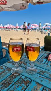 Apartment with green terrace - 8