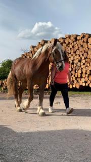 Fleischmannhof Do san ma dahoam - 9