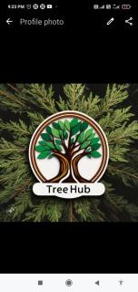 Tree Hub Jibhi - 0