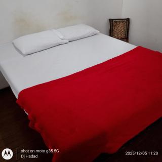 Santa Alexandrina - 7