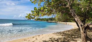 Superbe T3 avec une grande terrasse et un accès direct aux 2 plages Gros Raisin - 3