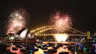 Darling Point Garden- Designer Penthouse with Uninterrupted Harbour & Bridge View - 9