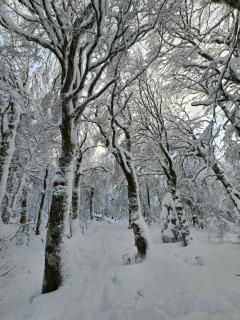 L'Escargot - Maison avec espace bien être privatif - 8
