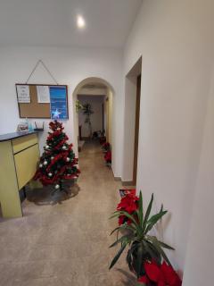 Стаи за гости - Цветето на Ангела - 6