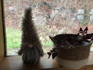 Pensiunea Ionela - 5