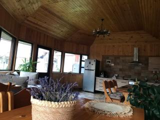 Pensiunea Ionela - 4