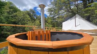 Tinaja, río y bosque en Conguillío - 0