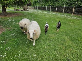 appartement Plume de repos - 2