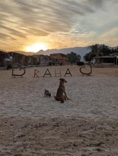 Raha Camp - Nuweiba - 7