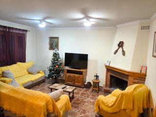 CASA EL LAUREL - Vélez-Rubio - 5