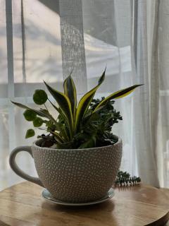 Prime and peaceful environment , BRIT HOUSE - 1