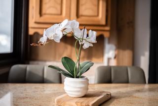 Smartstay Caron - Val Thorens - 9