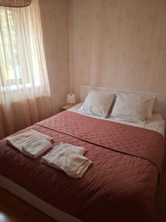 Maison de village en beaujolais pierres dorées - 2