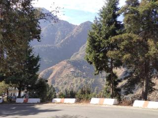 Apez View Mountain - 2