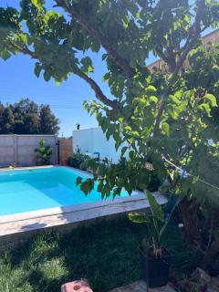 Casa Maly, valle de apalta, Santa Cruz - 8