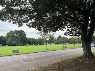 NBs Sage & Stone Nest - 1