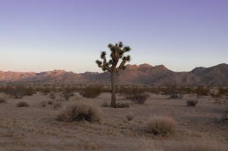 Serene Desert Home with Hot Tub - 5