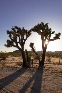 Serene Desert Home with Hot Tub - 7