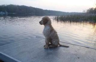 Lakefront Fishing With Hot Tub and Kayaks - 1