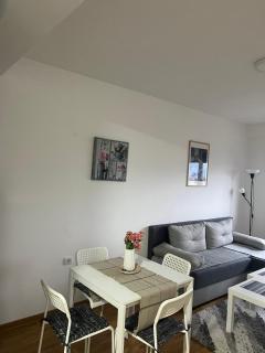 S&B Apartman Vrnjačka Banja - 9