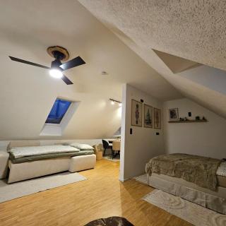 All Homes Apartments - 5