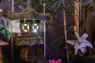 Evasion Romantique a Kyoto - 1