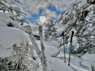 Hotel SPA Dr Irena Eris Krynica Zdrój - Krynica-Zdrój - 1