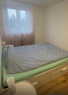 Ferienwohnung AyNa 3, direkt an der Schweizer Grenze - 1