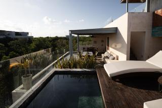 Amazing Penthouse & Apartment with Private Pool, Terrace , Roof Top and Hot Tub in Tulum Jungle - 9