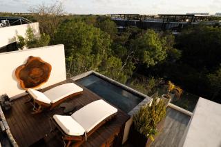 Amazing Penthouse & Apartment with Private Pool, Terrace , Roof Top and Hot Tub in Tulum Jungle - 4