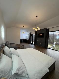 Mountain House Transalpina - 8