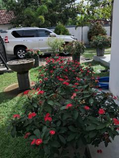 White Queen Residence - 3