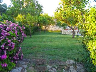 Villa Belfronte - 6