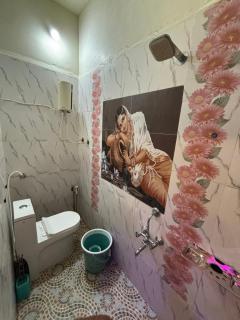 Ananya home stay hampi - 1