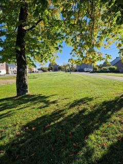 L'étoile de l'heure - 5