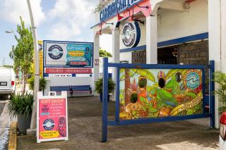 Kyo I Rustic Villa Beach/Golf Paradise in Rio Mar - 8