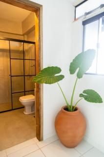 Dpto privado con 2 habitaciones, baño privado, cocina equipada y parking en el centro de Asunción - 0