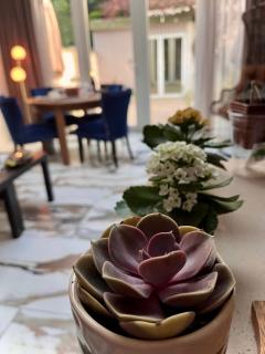 Double Ensuite in Prestige Location - 4