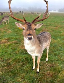 Double Ensuite in Prestige Location - 1