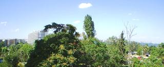 Waterfront private room, own bathroom - 9