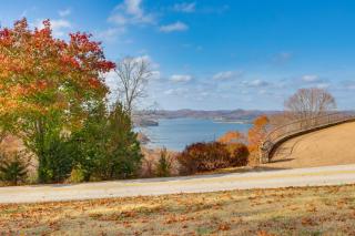 Surrounding Lake Views! Eureka Springs Home - 9