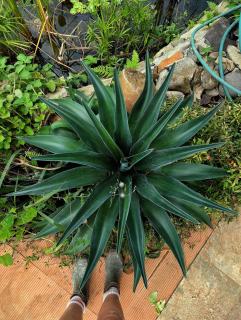 Villa Piedra Viva - 5