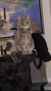 La galerie - Mulhouse - 9