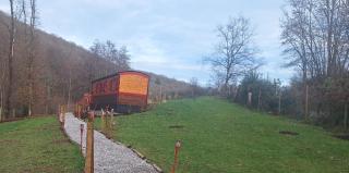 Bambolina - Marche-en-Famenne - 3