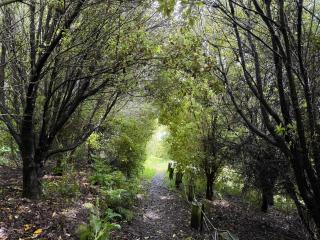 Freestone off-grid cabin - 7