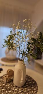 Spa Love Apartament Sauna Jacuzzi ROMANTYCZNY APARTAMENT DLA PARY Z PRYWATNYM SPA - 8