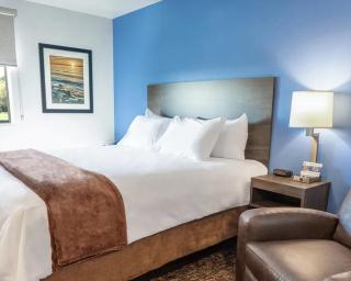 Sonesta Simply Suites Avondale - Avondale - 5