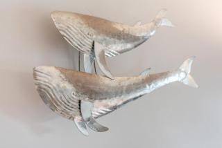 2 Bed in Woolacombe oc-n2066 - 1